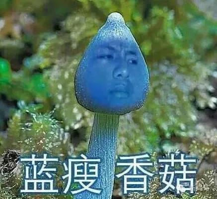 蓝瘦香菇原话是什么 标准翻译惊呆网友又一网红诞生了