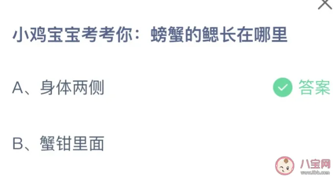 螃蟹的鳃长在哪里？身体两侧还是蟹钳里面 蚂蚁庄园今天问题正确答案最新