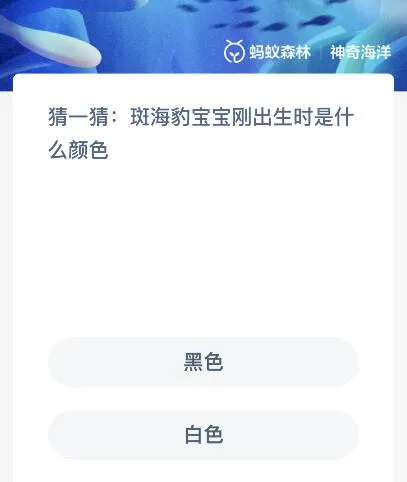 斑海豹宝宝刚出生时是什么颜色？神奇海洋11.16今日答案最新